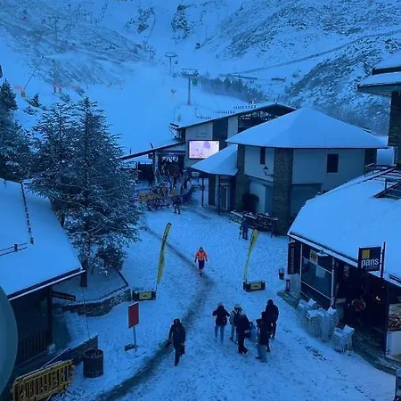 Bhost - Oso Polar Sierra Nevada