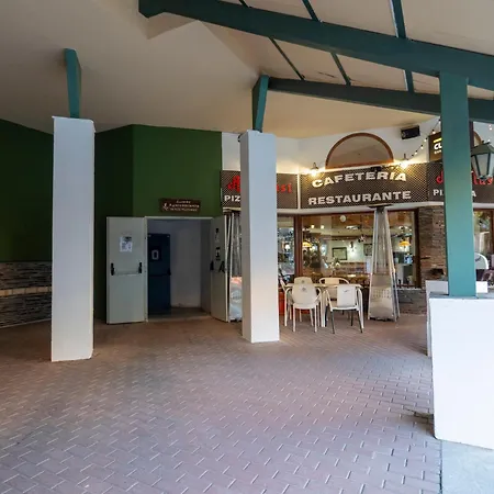 Oso Polar Sierra Nevada