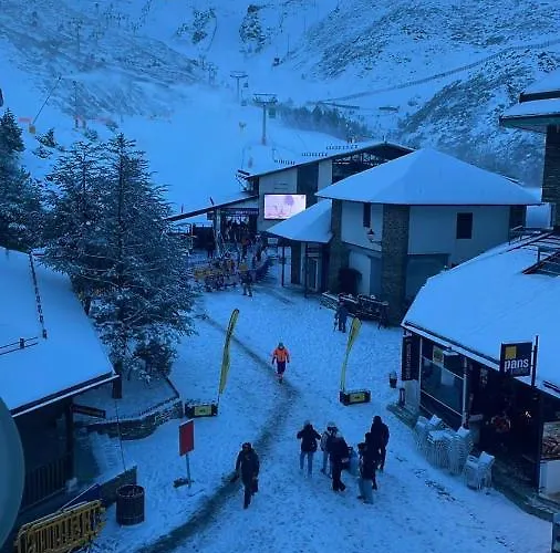 Oso Polar Sierra Nevada