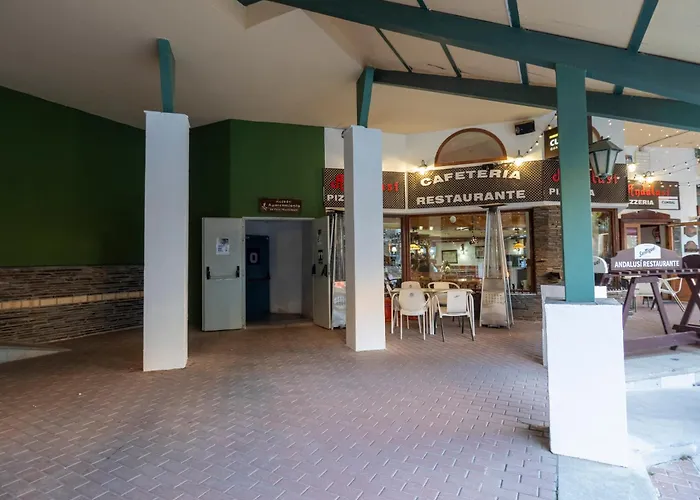 Oso Polar Sierra Nevada