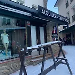 Oso Polar Sierra Nevada