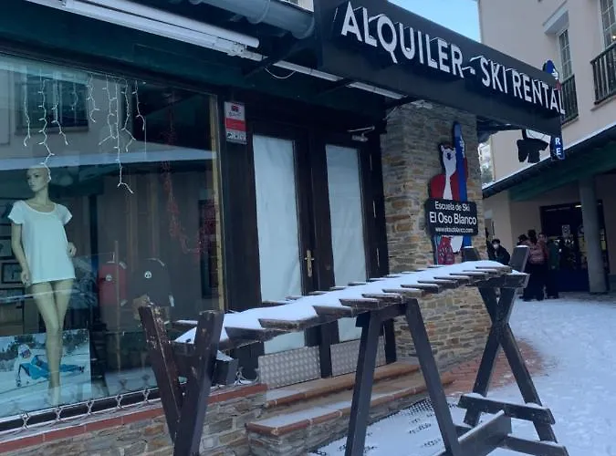 Oso Polar Sierra Nevada